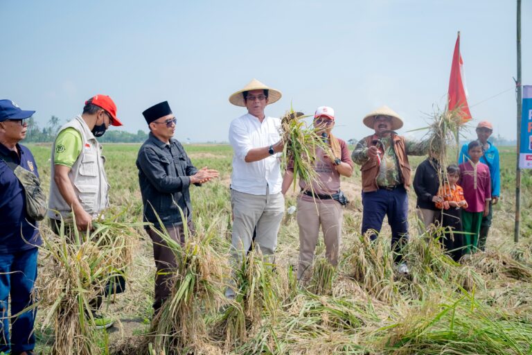 Aswar Wahab, Pengusaha Dunia Akhirat Pembelajar Universitas Kehidupan dan Penjaga Asa Yatim Dhu’afa Indonesia